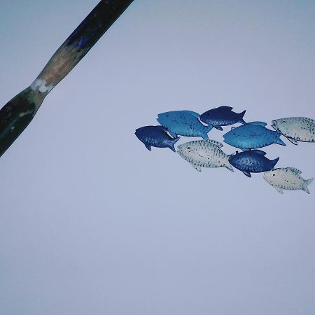 Casetta Via Mare ポリニャーノ・ア・マーレ エクステリア 写真