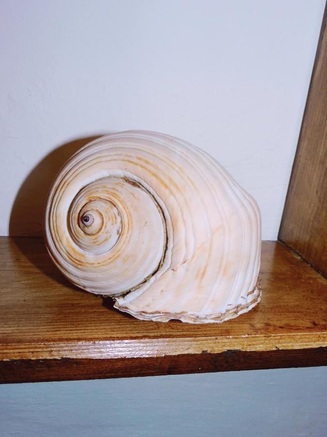 Casetta Via Mare ポリニャーノ・ア・マーレ エクステリア 写真